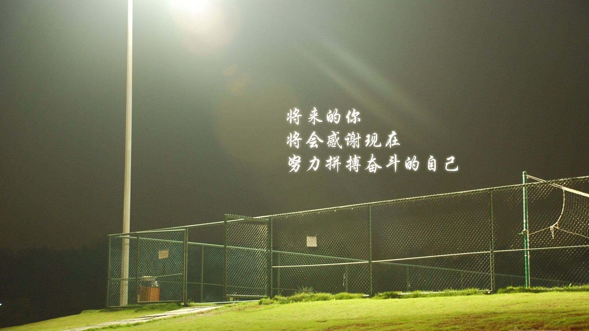 《热门赛事点评：冠军战的亮点一览》，冠军合集