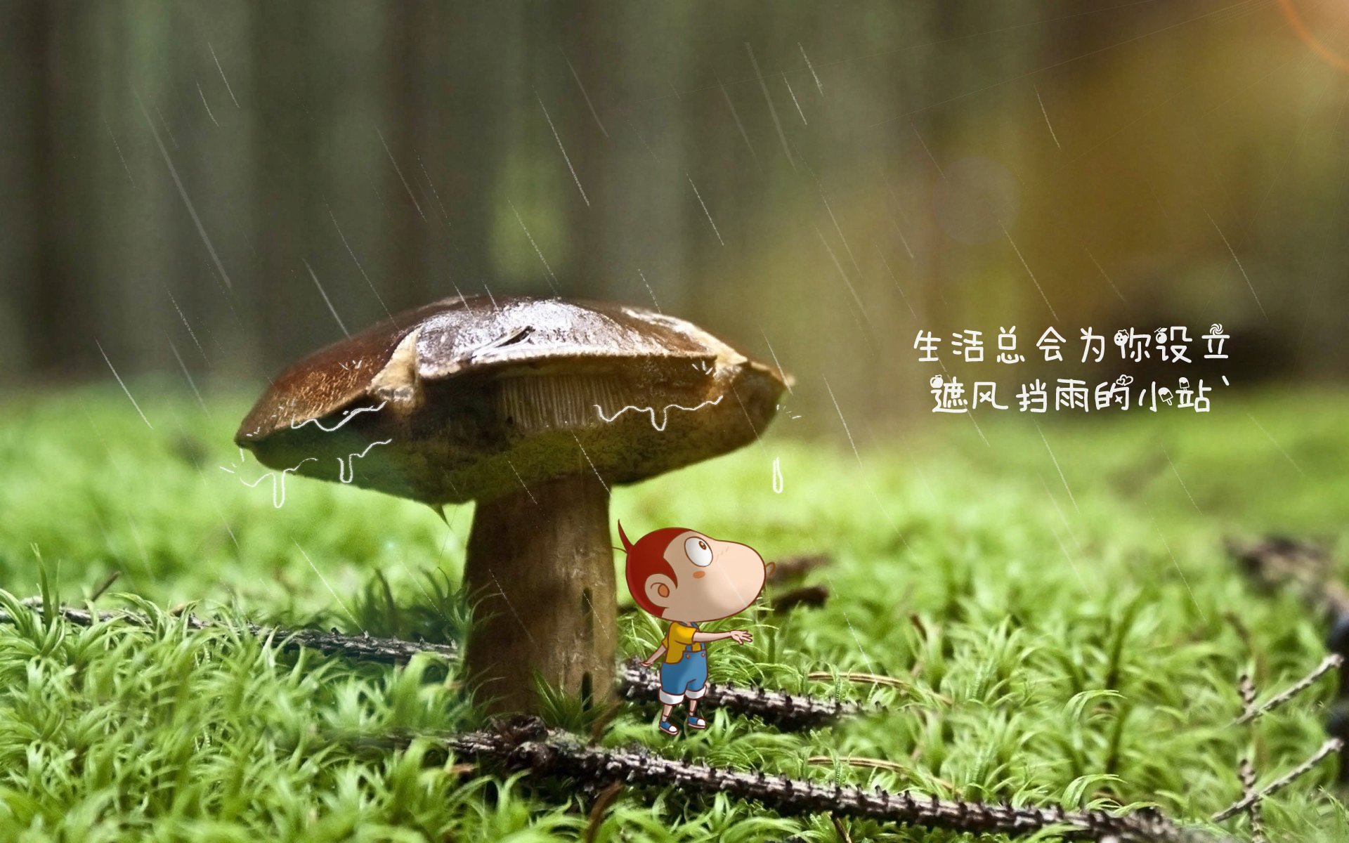 乳香球衣回归潮，怀旧元素带来新时尚，乳香是什么味道功效与作用
