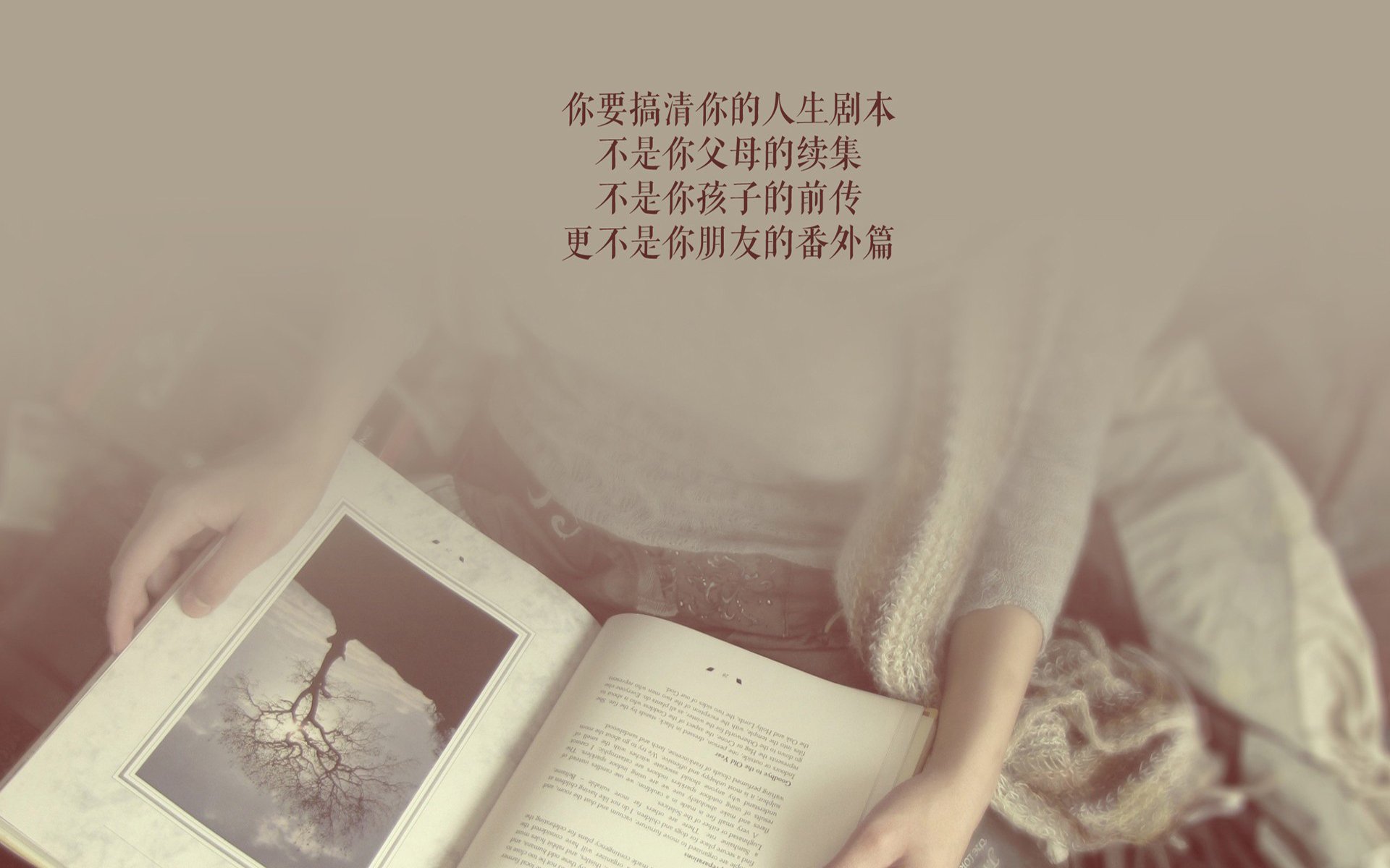 伯明翰市防守稳固，蓝军全力保级，伯明翰吧