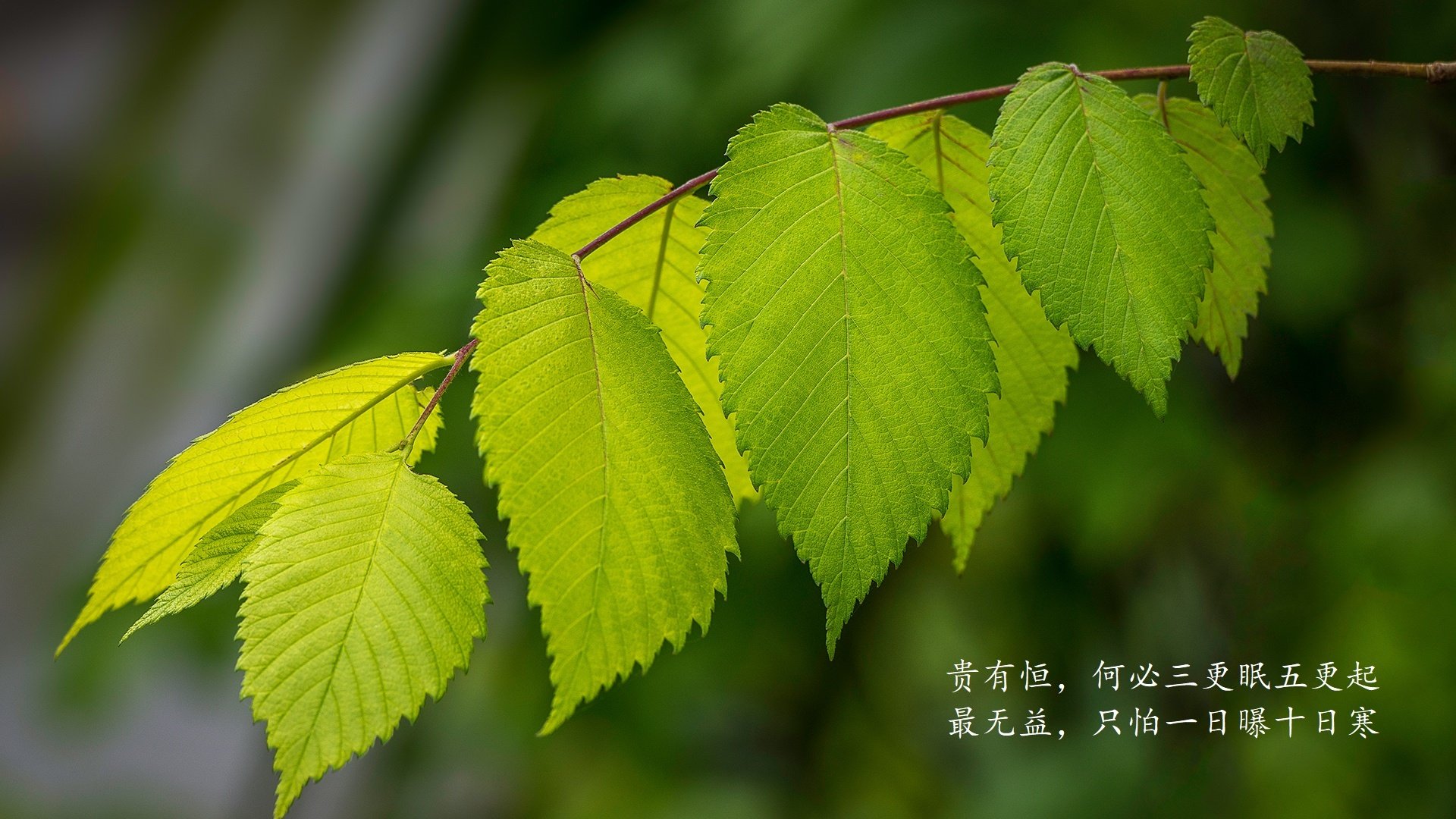 kaiyun开云·官方网站-印度男子4×400米接力队夺得金牌，展现强劲实力。，印度百米9.55