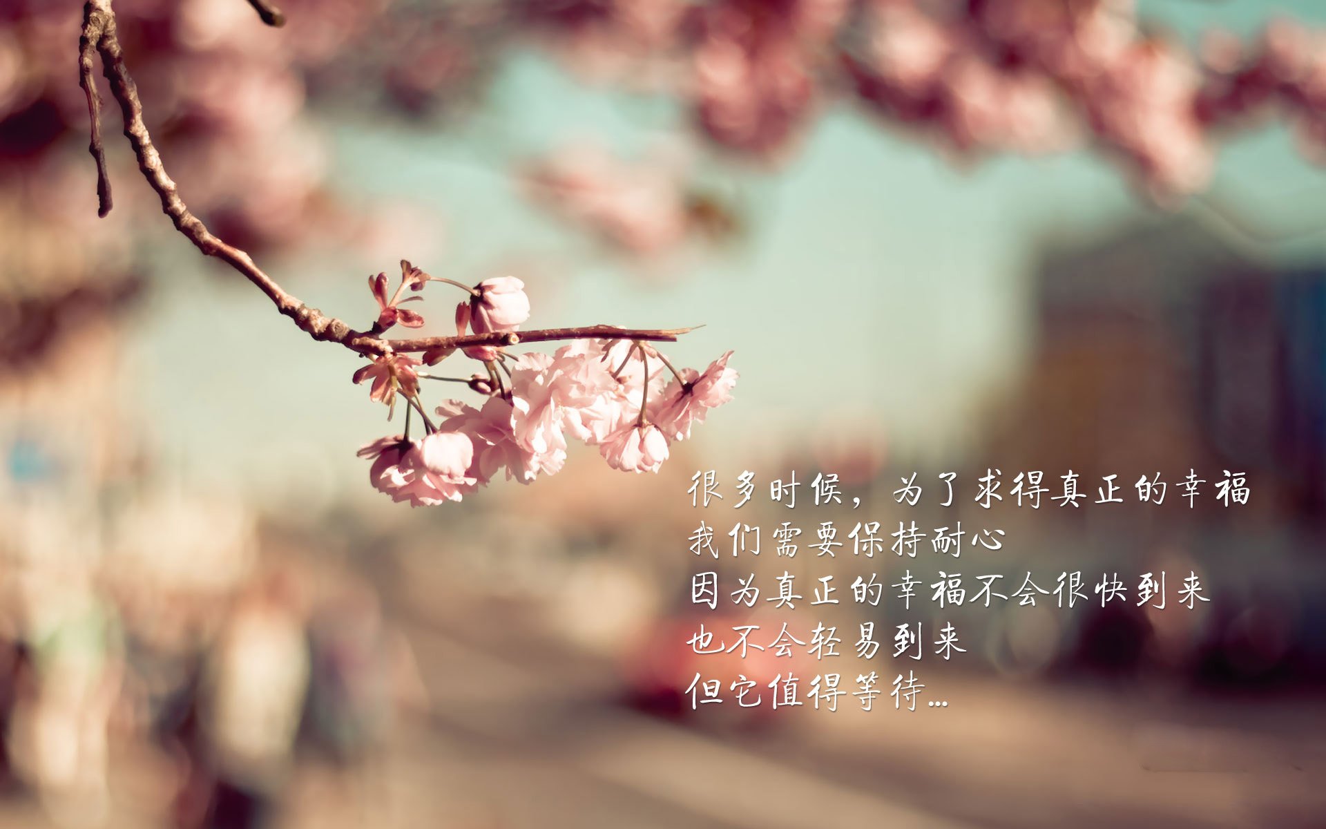 塞尔塔大翻盘，瓦伦西亚遭遇失利，塞维利亚瓦伦西亚谁更强