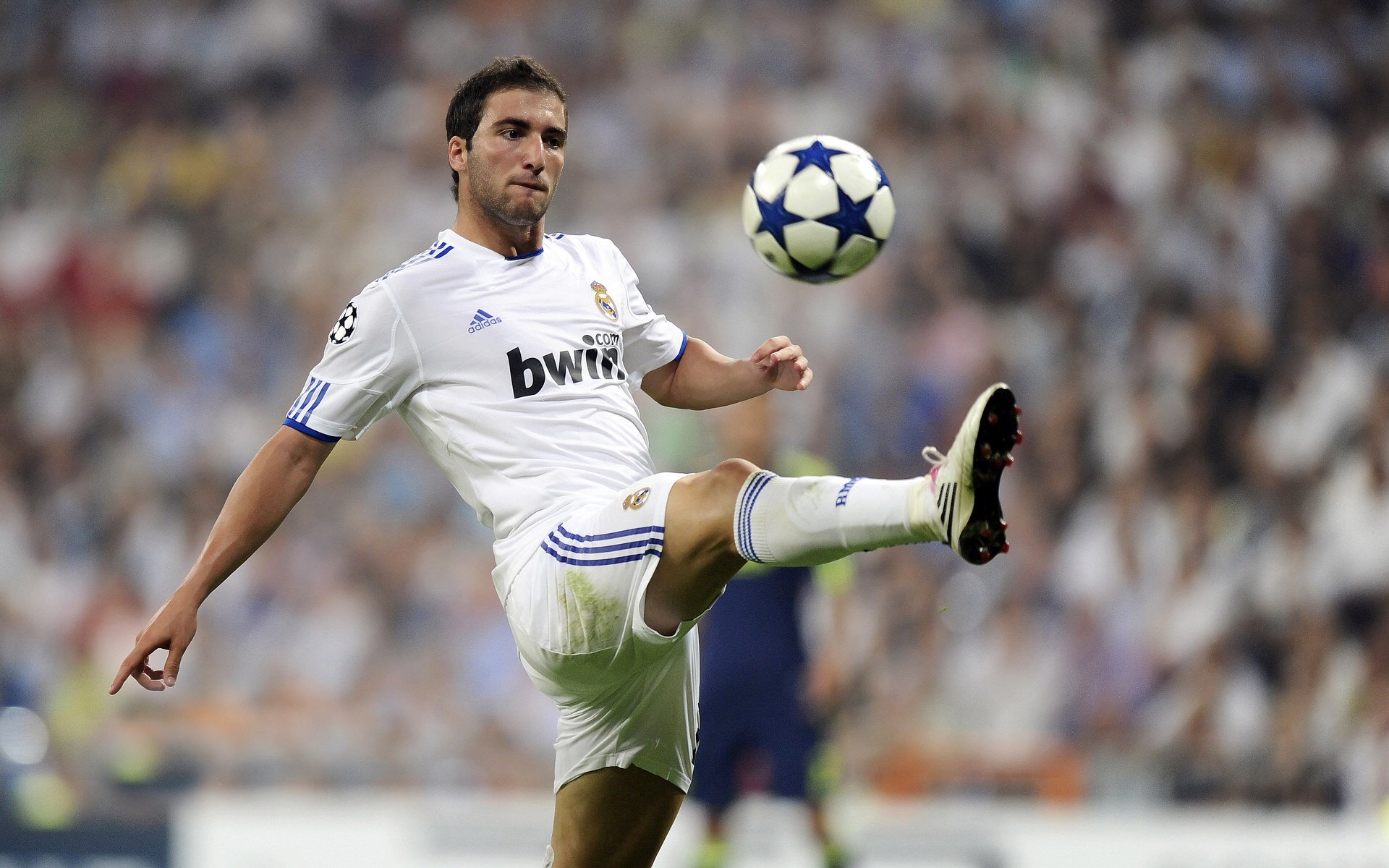 可圈可点：本周最佳团队合作集锦，最佳团队组合